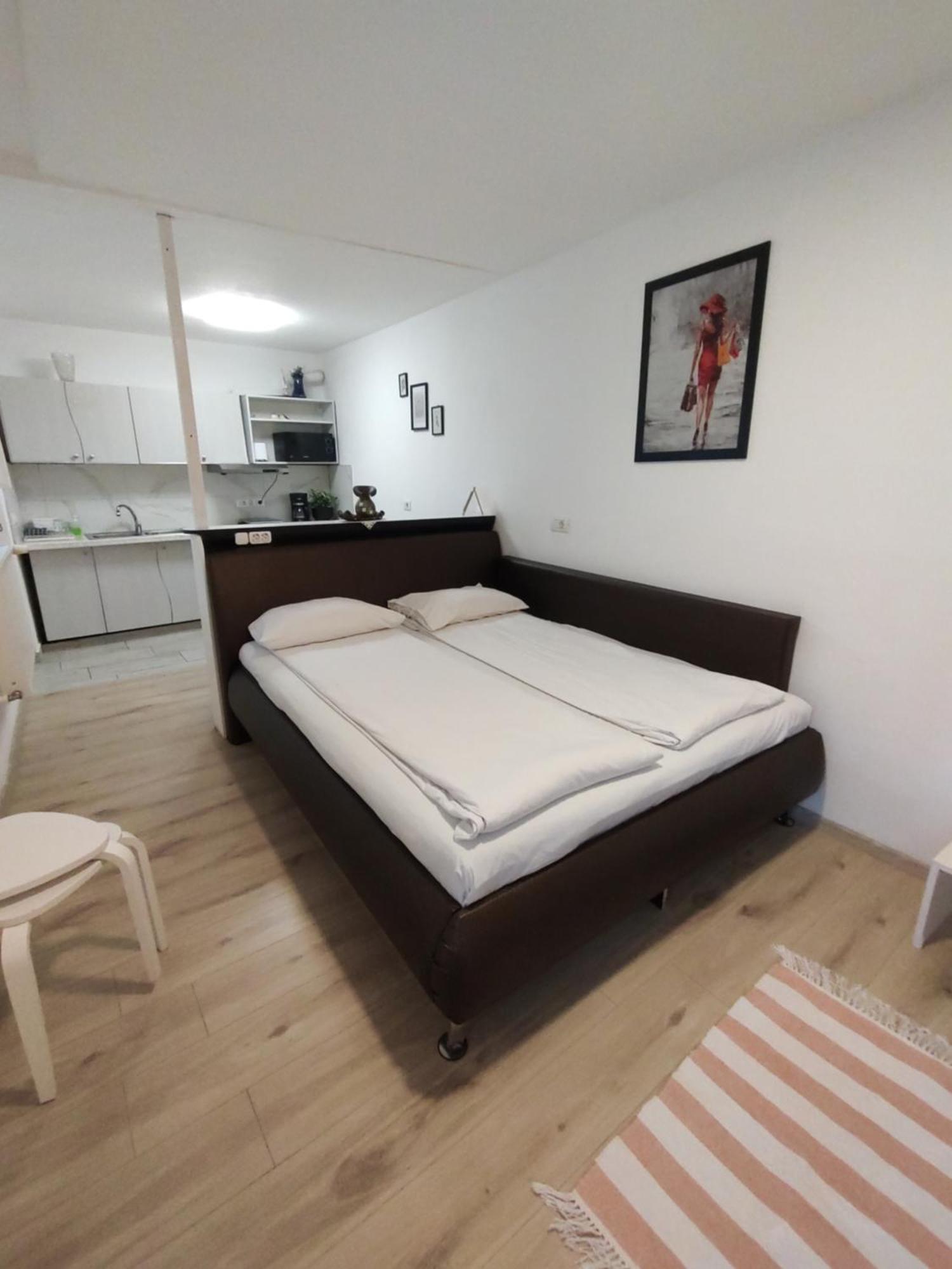 Studio Sibiu Extérieur photo