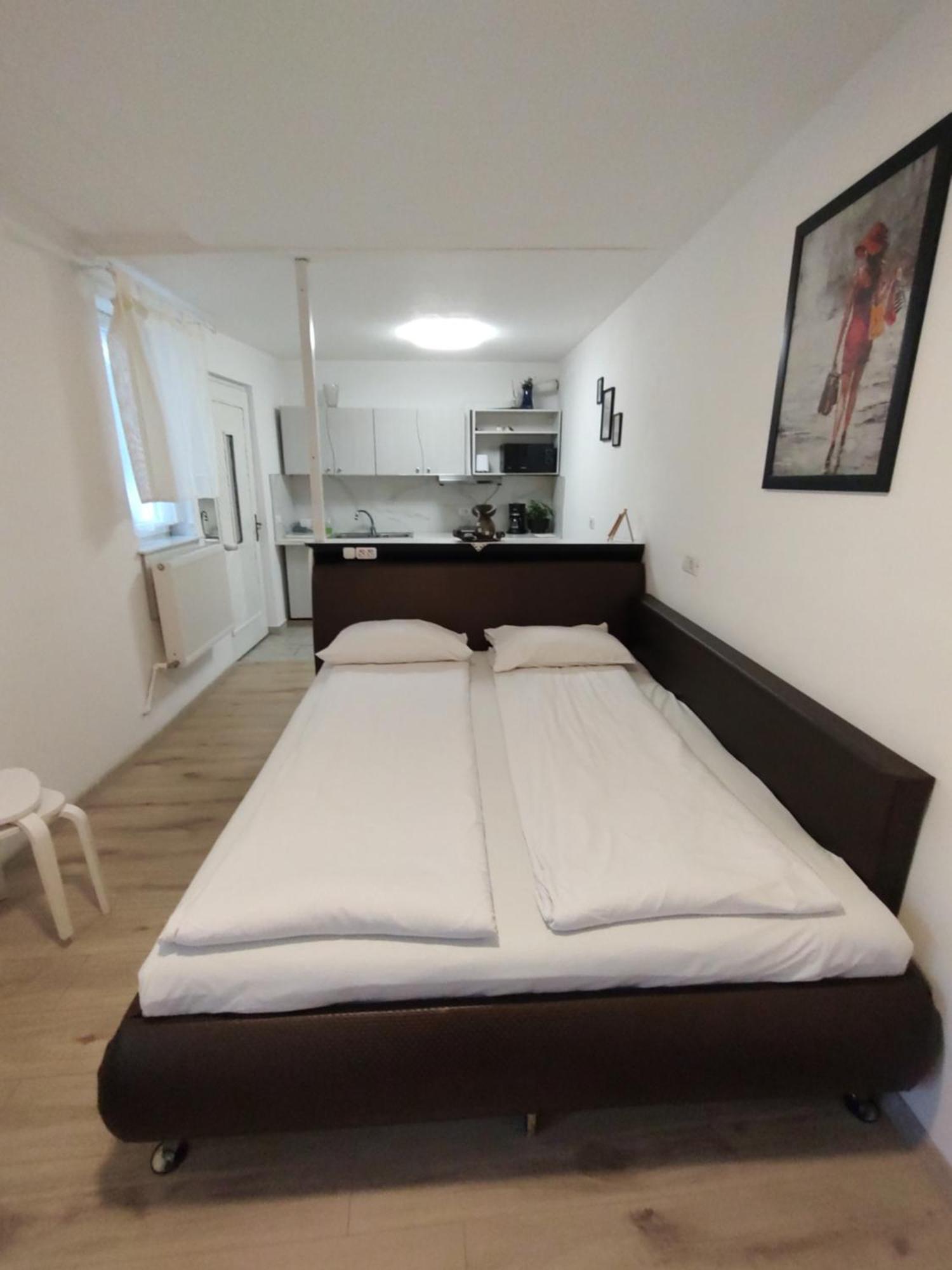Studio Sibiu Extérieur photo